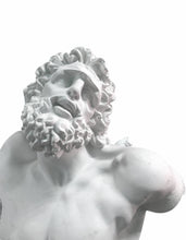 Load image into Gallery viewer, Laocoonte
